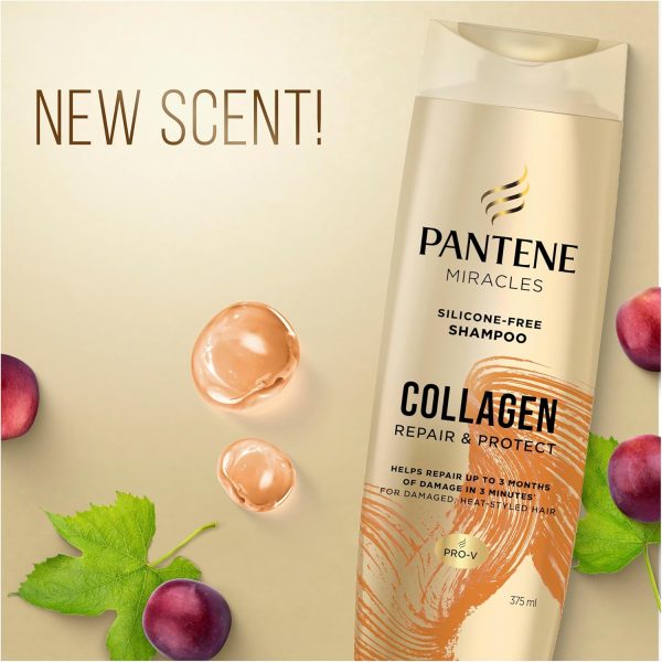 Pantene Miracles Collagen Repair and Protect Silicone-Free Shampoo 375 ml - Image 5
